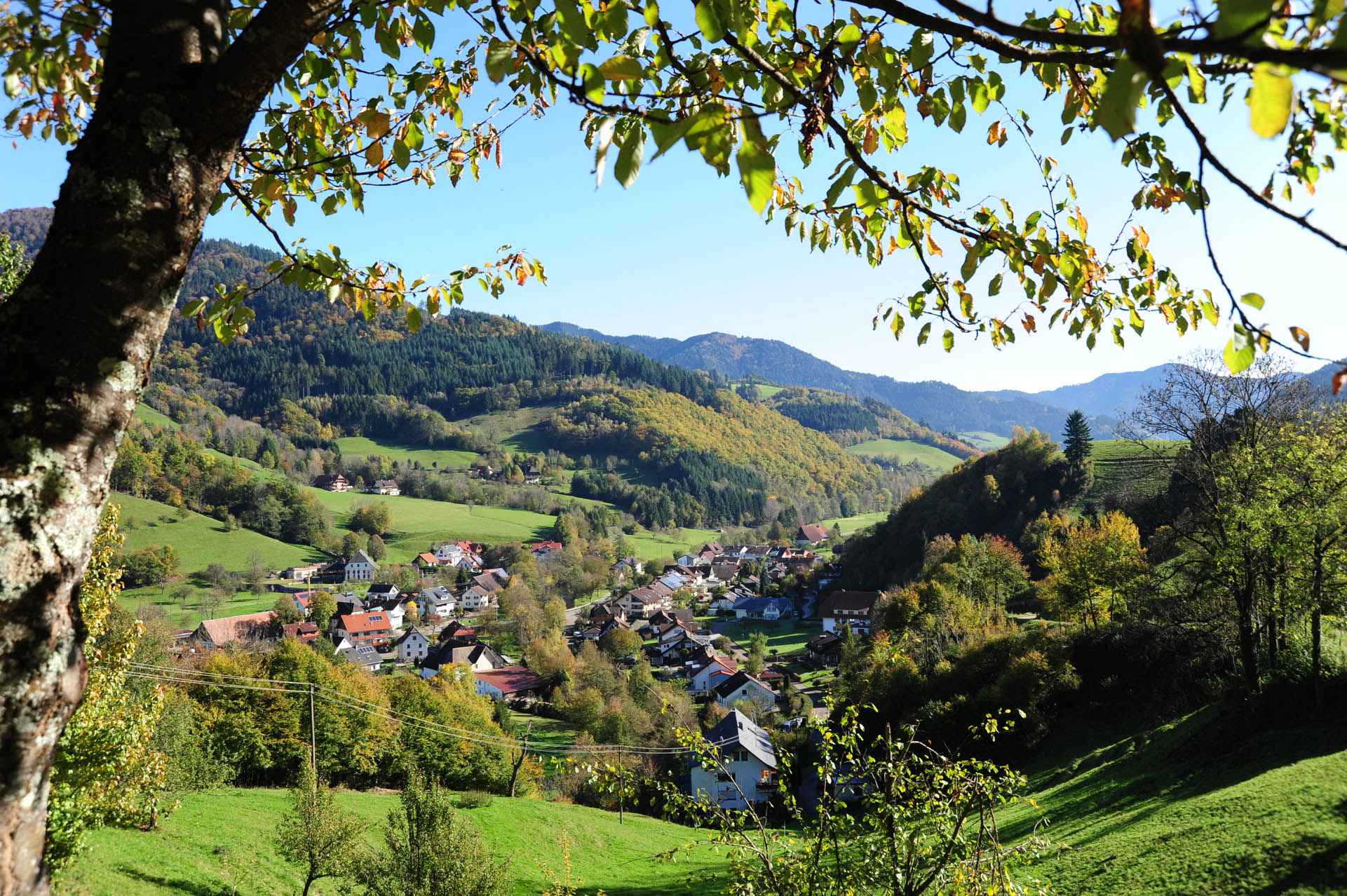Gemeinde Simonswald Startseite