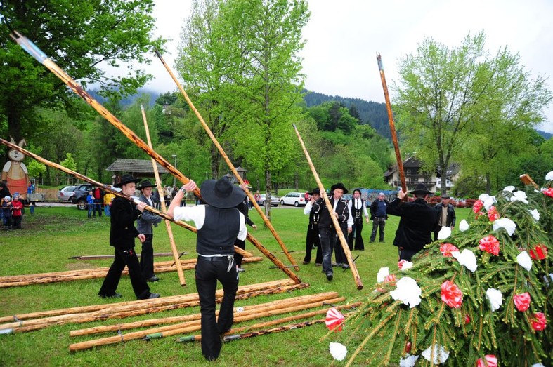 Maibaumstellen