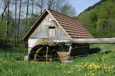Schwanenhof Mühle